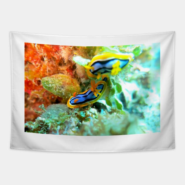 Nudibranchs Tapestry by SHappe