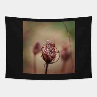 Seed head Tapestry