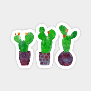 Cactus cacti succulents in pots - mixed media collage Magnet