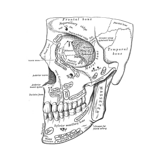 Human Body - Face T-Shirt