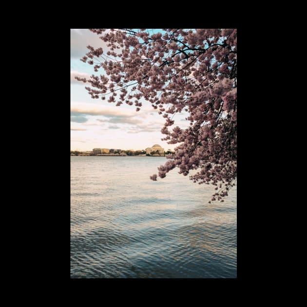 Jefferson Memorial 3 by igjustin