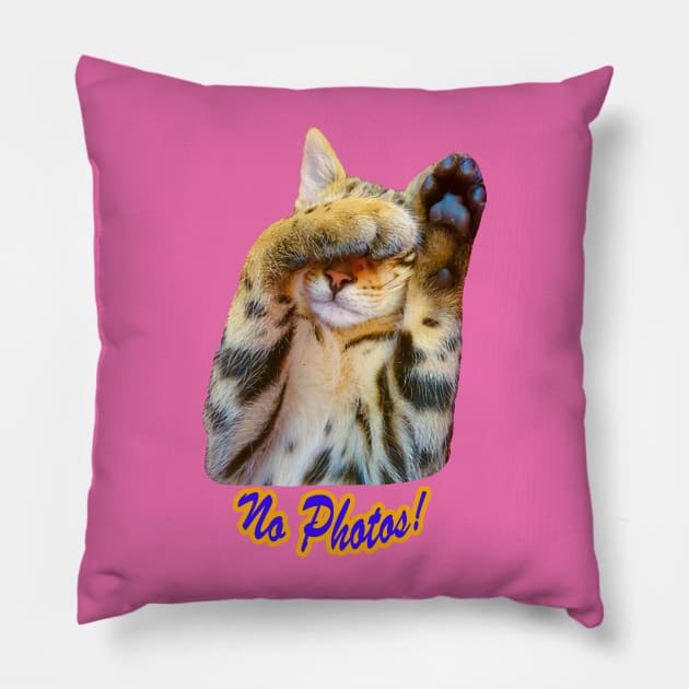 No Photos! Pillow by dalyndigaital2@gmail.com