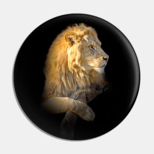 Lion Animal Wildlife Jungle Nature Safari Adventure Discovery Africa Digital Painting Pin