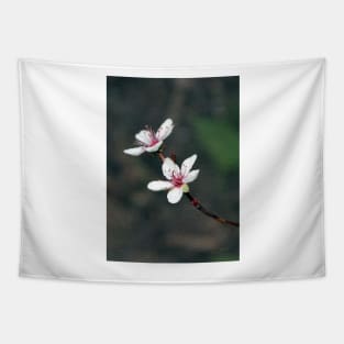 Purple Leaf Sand Cherry Book Cover Tapestry