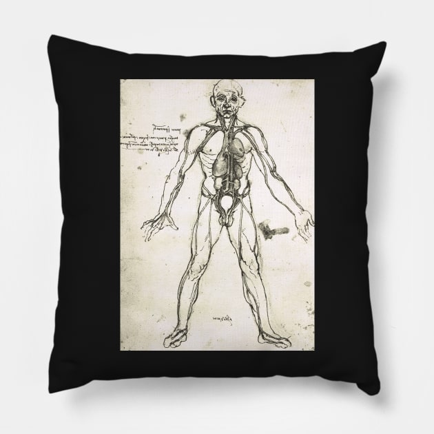 Anatomical figure of a man, to show the heart, lungs and main arteries.  Drawn by Leonardo Da Vinci, circa 1504-06 Pillow by artfromthepast