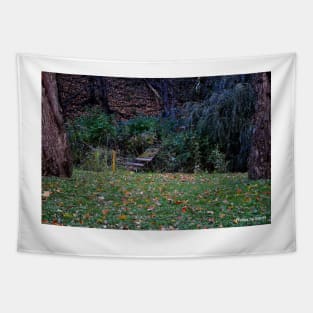 Lonely bridge Tapestry