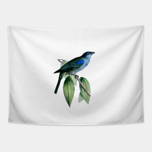 Blue-gray Tanager Tapestry