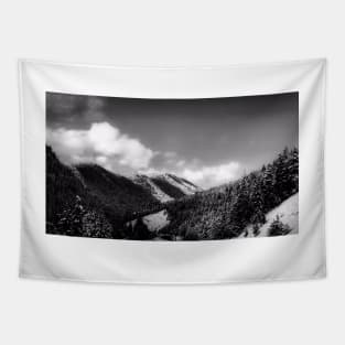 Big Sky Country - Black And White Tapestry