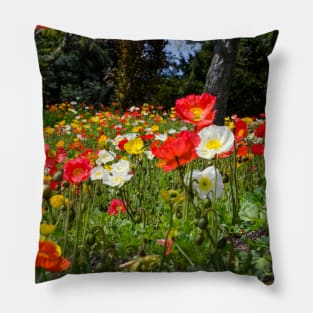 Colorful field of poppies Pillow