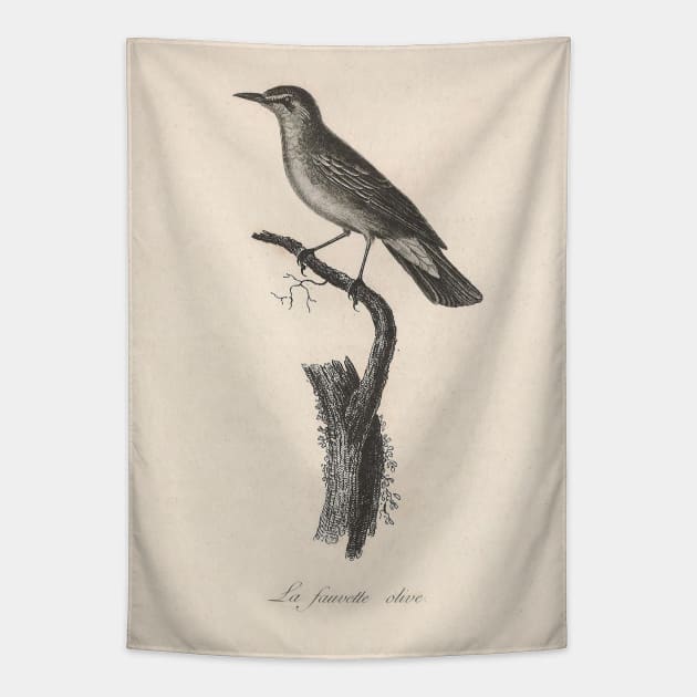 The Olive Warbler Tapestry by ptMaker