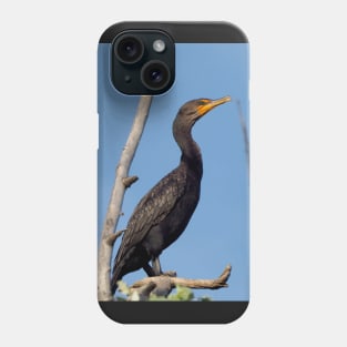 Double-crested Cormorant Perching On a Tree Branch Phone Case