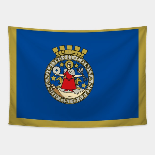 Flag of Oslo, Norway Tapestry by brigadeiro