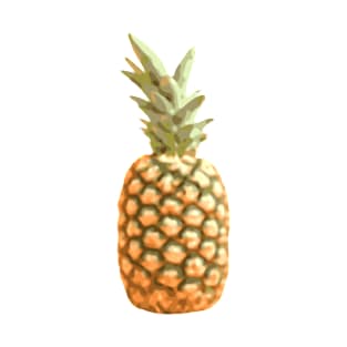 Juicy Pineapple Two T-Shirt