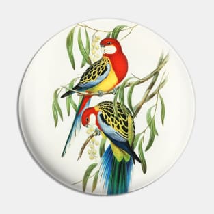 Rose-hill Parakeet Pin