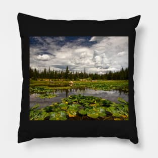 Lost Lake Pillow