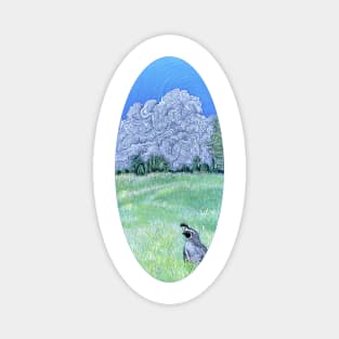 CA Quail in a meadow Magnet