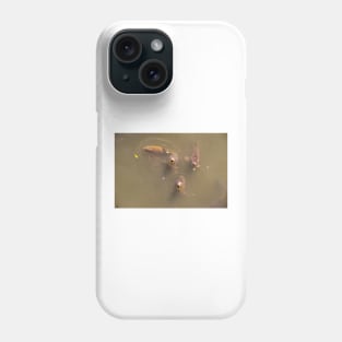 Catfish 3 Phone Case