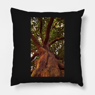 Tree Study Pillow