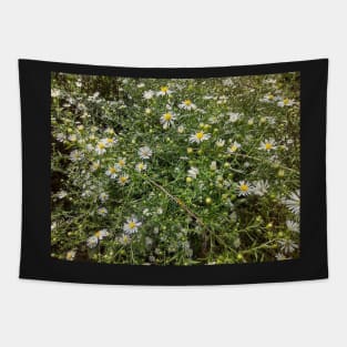 Autum Aster Wildflowers Tapestry