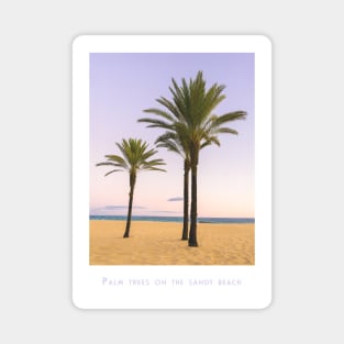 Serene Beachside Palms Magnet