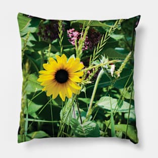 A Lone Sunflower in a Garden Pillow