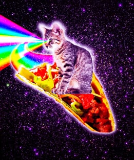 Rainbow Laser Eyes Galaxy Cat Riding Taco Magnet