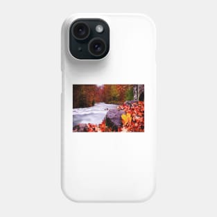 Autumn Flow Phone Case