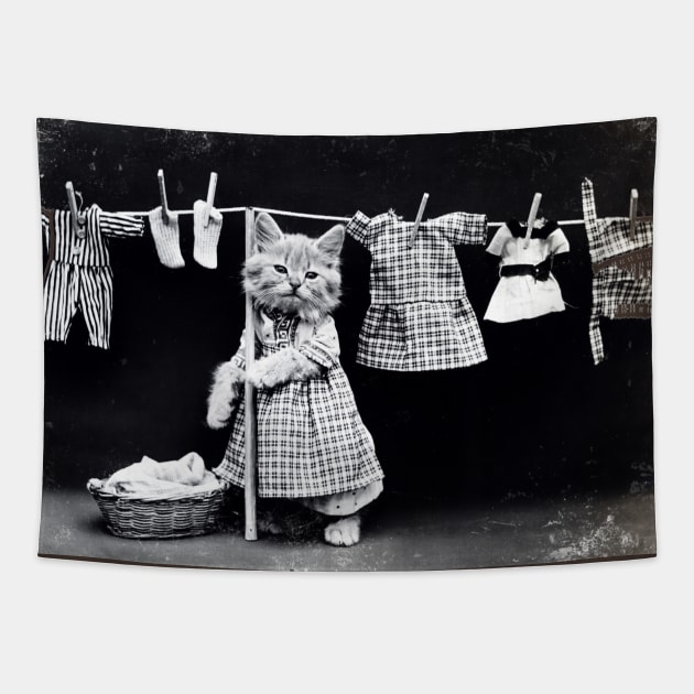 Vintage Black and White Kitty Laundry Photo Tapestry by AlondraHanley