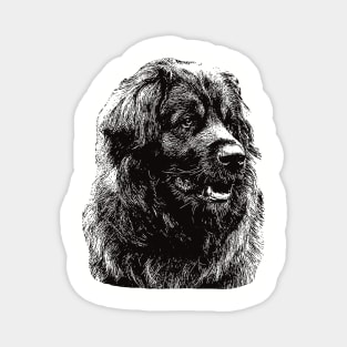 Leonberger gift for Leo Owners Magnet