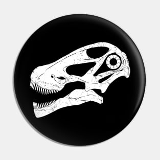 Argentinosaurus fossil skull Pin