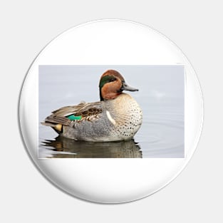 Green-winged Teal Pin