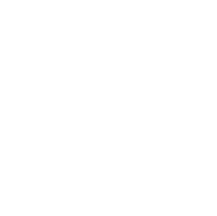 Bitcoin King Emblem Magnet