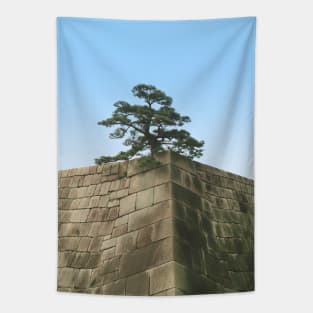 Bonsai on a Stone Wall Tapestry