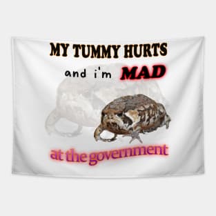 My Tummy Hurts And I'm MAD At The Government Meme Tapestry