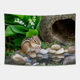 Chipmunk reflection in a tiny pond Tapestry