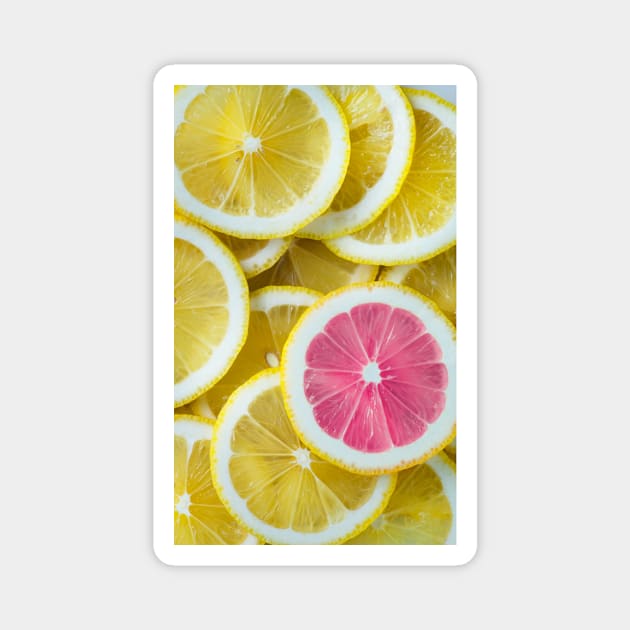 Juicy Lemon Slices Magnet by NewburyBoutique