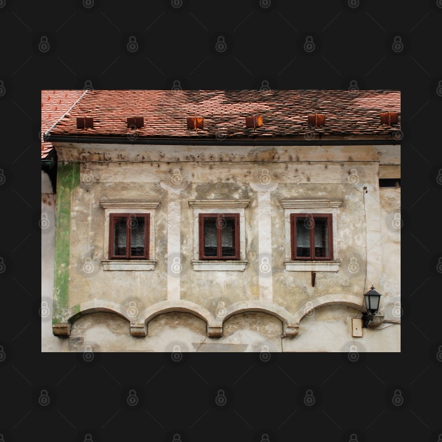 Historic Building in Skofja Loka 5 by jojobob