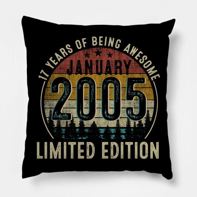 Vintage January 2005 Limited Edition 17th Birthday Pillow by TeeBlade