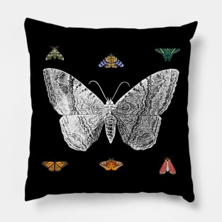 Lepidoptera Pillow