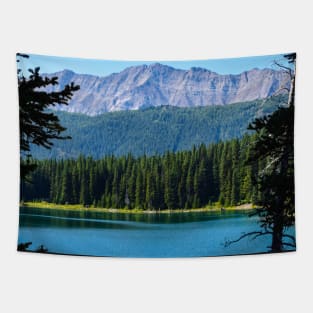 Mountain scene. Tapestry