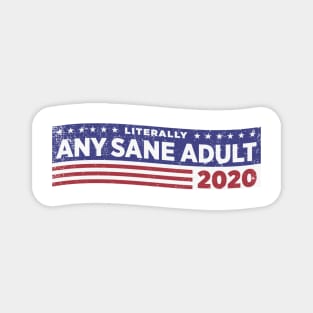 Literally ANY SANE ADULT 2020 Magnet