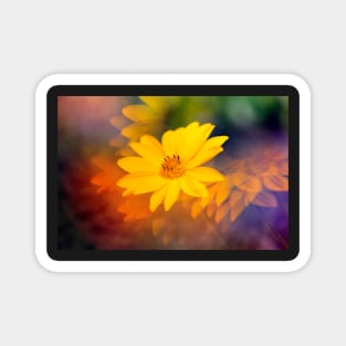 Yellow flower photographed through prism Magnet