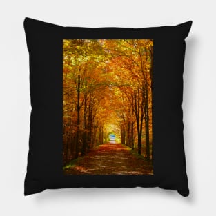 Autumn Light and Leaf Painting Pillow