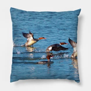 Red-breasted Mergansers Beginning To Fly Pillow