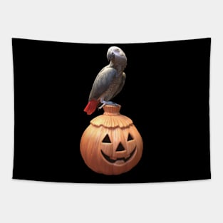 Jack-o-lantern Halloween African Grey Parrot Tapestry