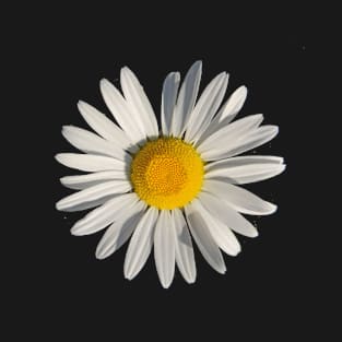 A Daisy A Day T-Shirt