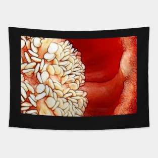 Red Hot Pepper Tapestry