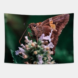 Silver-Spotted Skipper Butterfly. Macro Photograph Tapestry