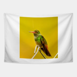 oli green Hummingbird Tapestry