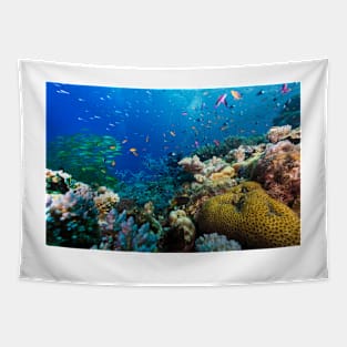 Great Barrier Reef Coral Wonderland Tapestry